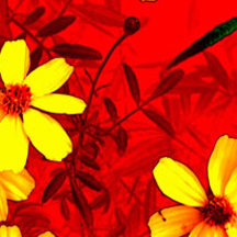 免费DDOS攻击测试工具